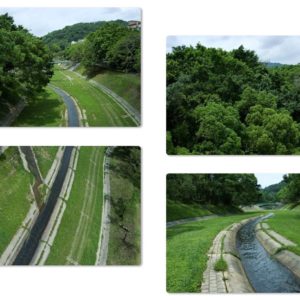 Caddx Tarsier 4K – photos