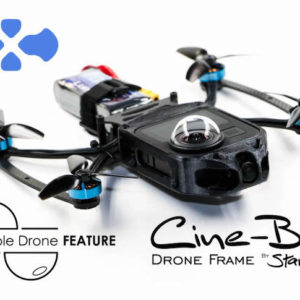 Stan FPV CINE-BIRD Cinematic