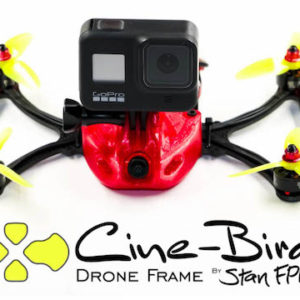 Stan FPV CINE-BIRD Cinematic gopro – 2