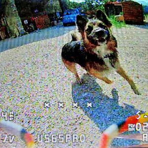 119706369_623554191860436_6409656094734397270_n