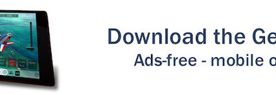 GeoFS Simulateur ads module gps